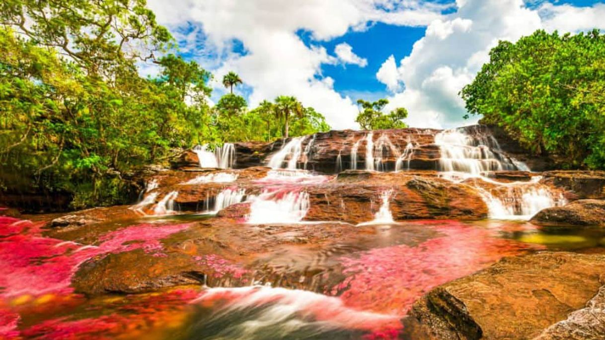 Place Caño Cristales