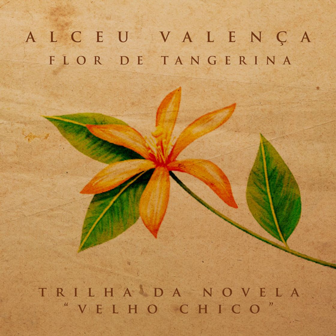 Canción Flor de Tangerina