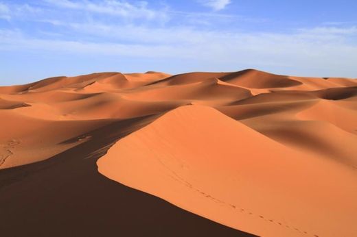 Sahara Desert