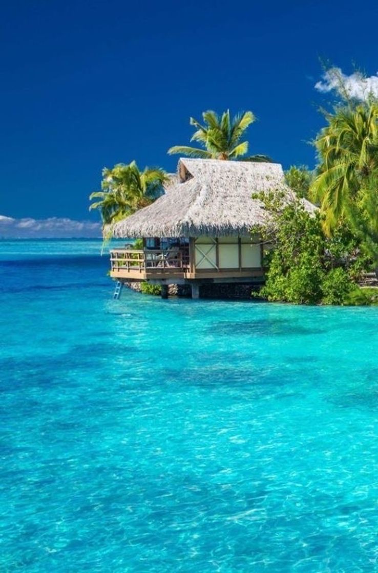 Social Seychelles Islands