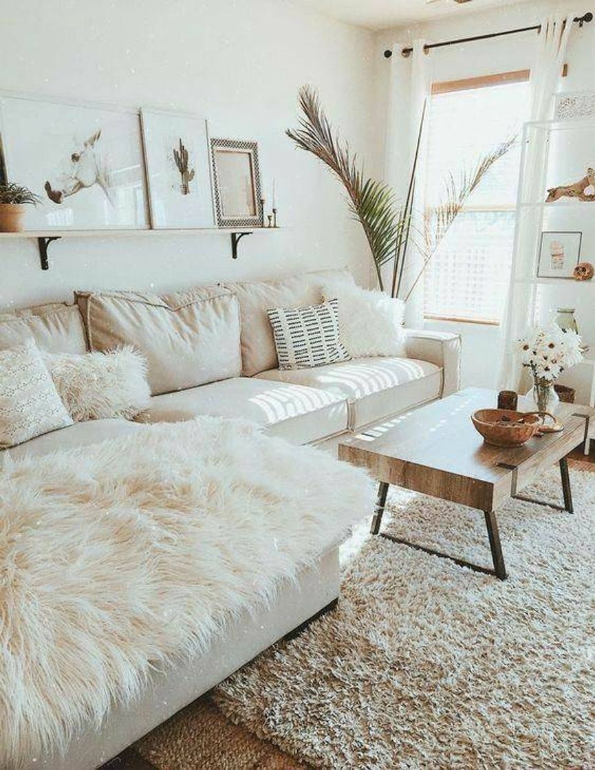 Social Decor