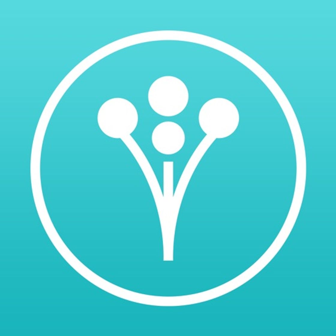 App Wedding Planner by WeddingWire