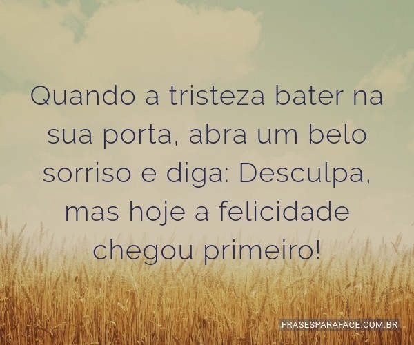 Books Como Cuidar de Um Chihuahua: Tudo Que Você Precisa Saber Sobre Os