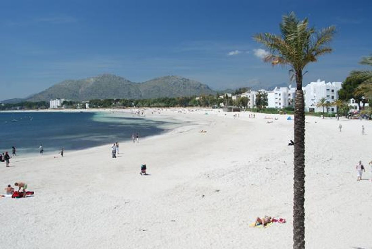 Lugar Alcudia