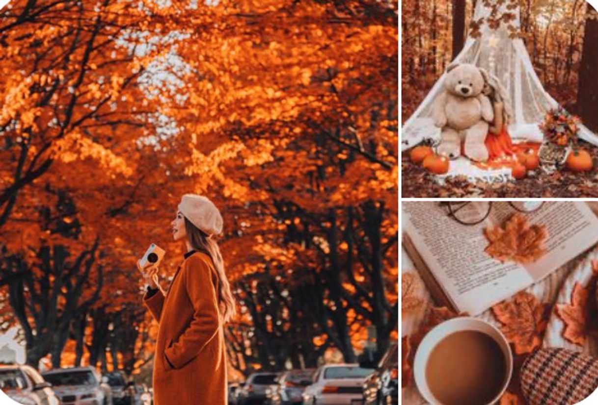 Social Feed Naranja