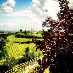 Lugar Valpolicella