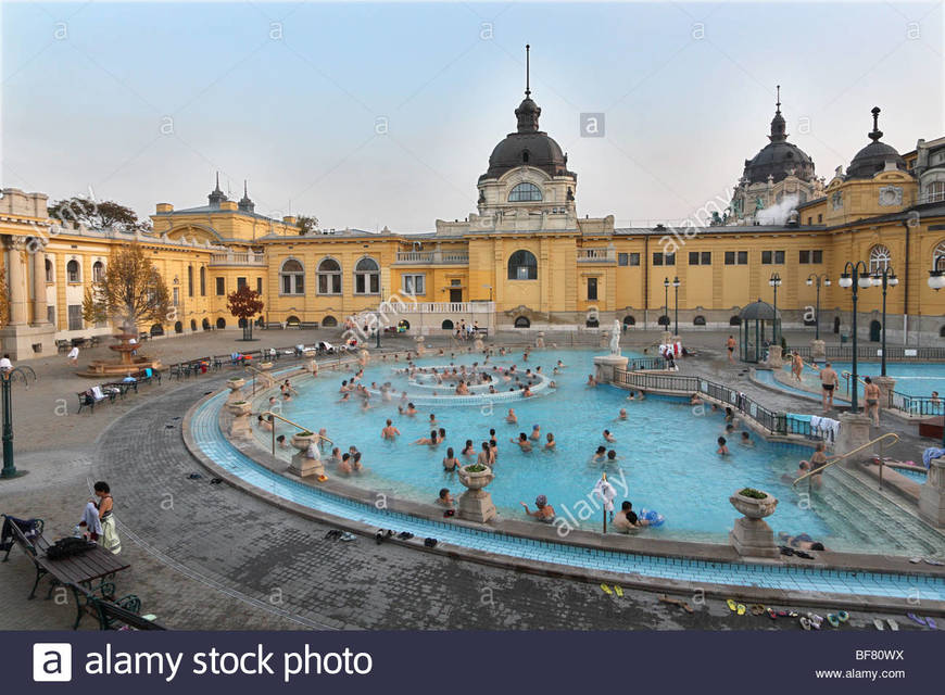 Place Széchenyi Thermal Bath