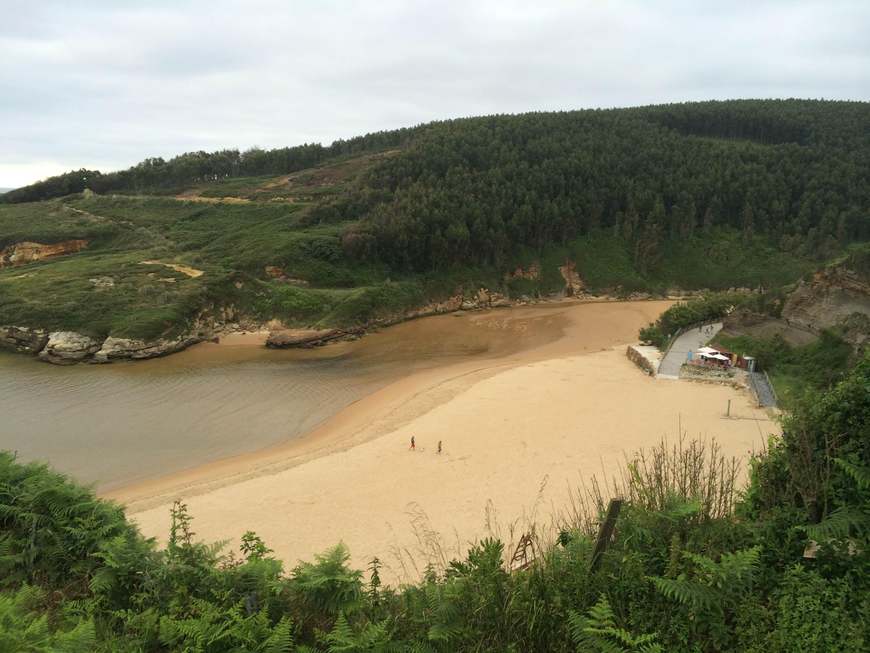 Lugar Playa de Galizano