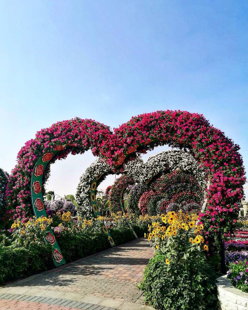 Lugar Miracle Garden