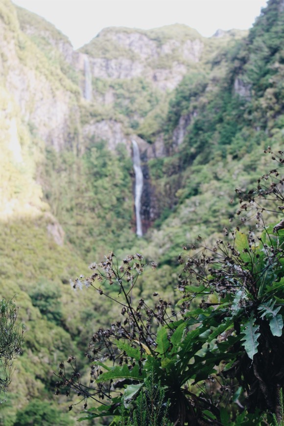 Lugar PR6 Levada das 25 Fontes / Levada do Risco