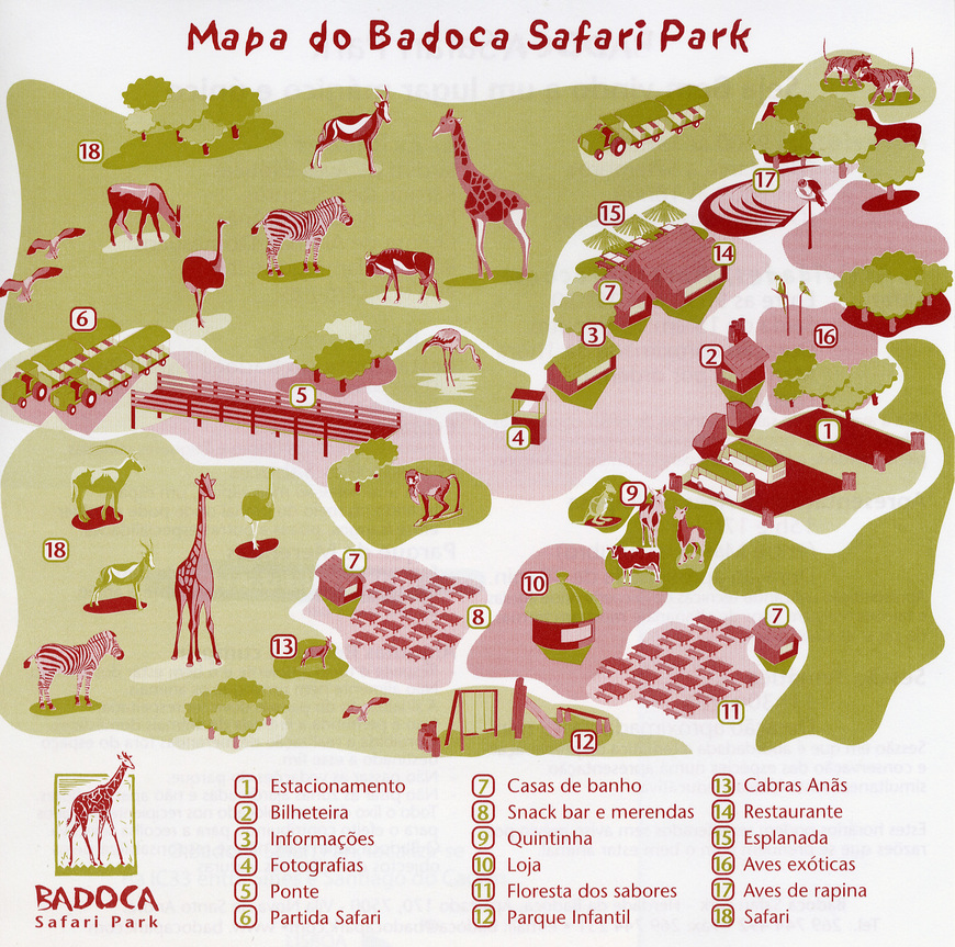 Lugar Badoca Safari Park