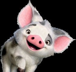 cerdito - Wiktionary