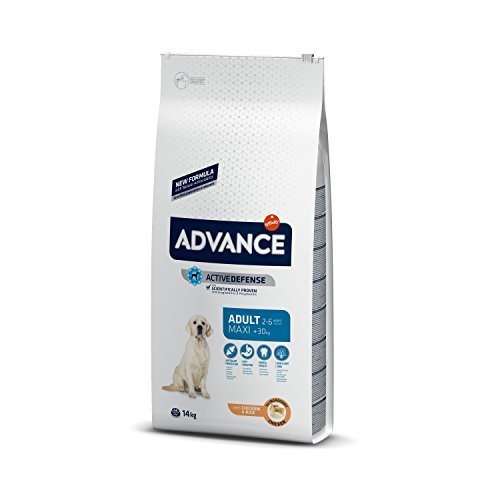 Product Advance Pienso para Perro Maxi Adulto con Pollo