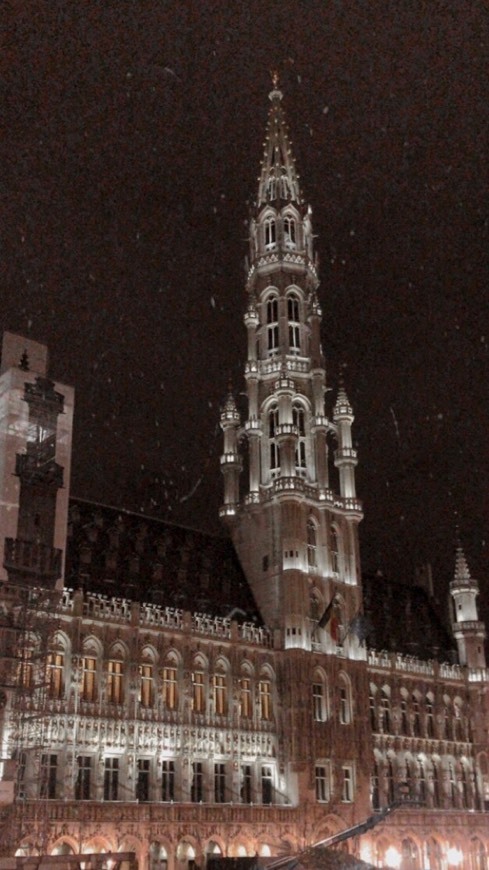 Lugar Grand Place