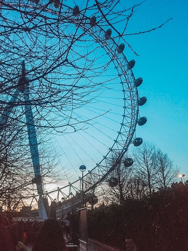 Place London Eye