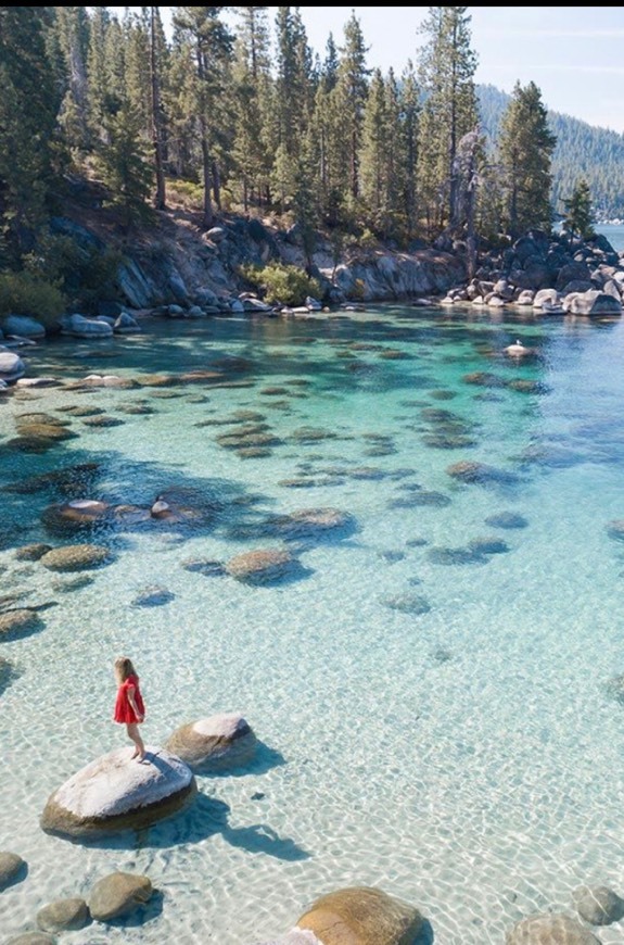 Place Lake Tahoe