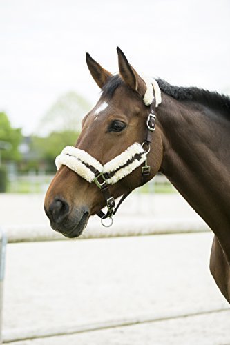 Fitness Equi-thème - Cabezada oveja auténtica