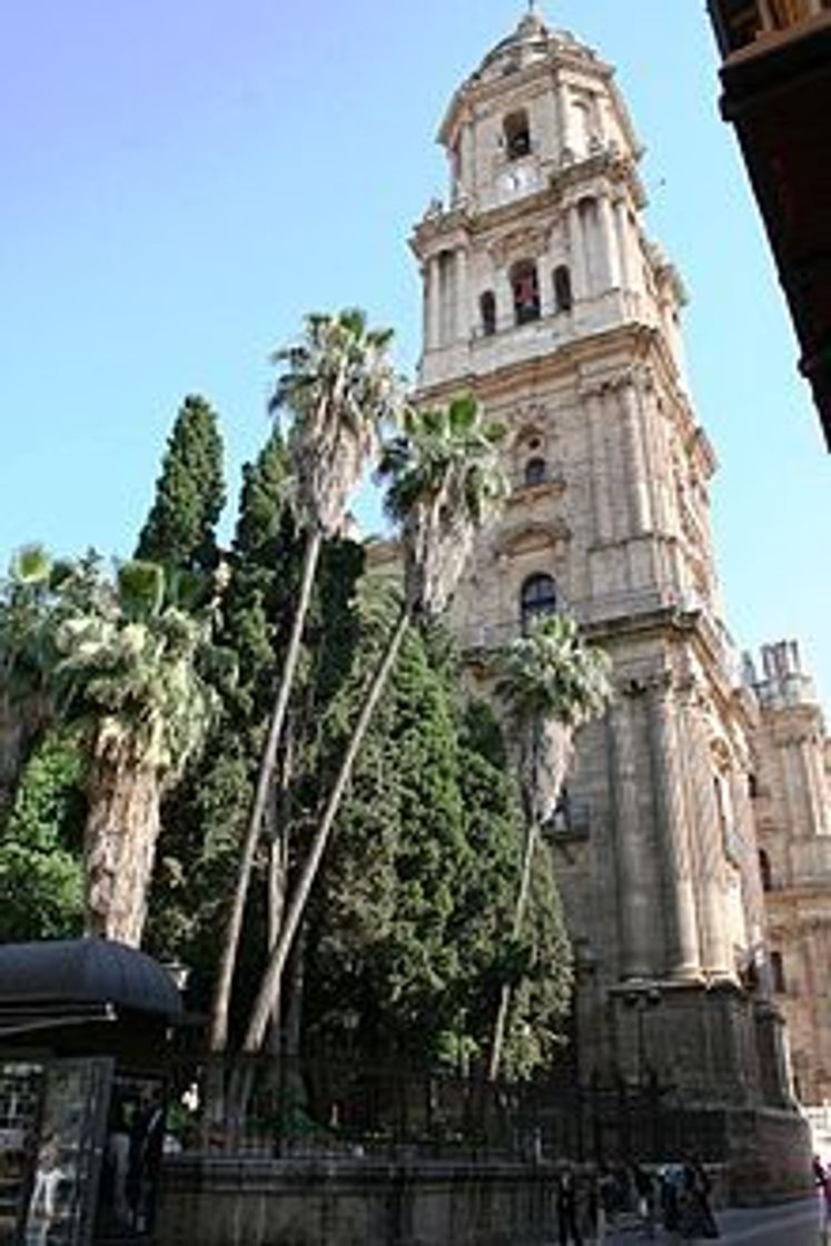 Place Catedral Malaga