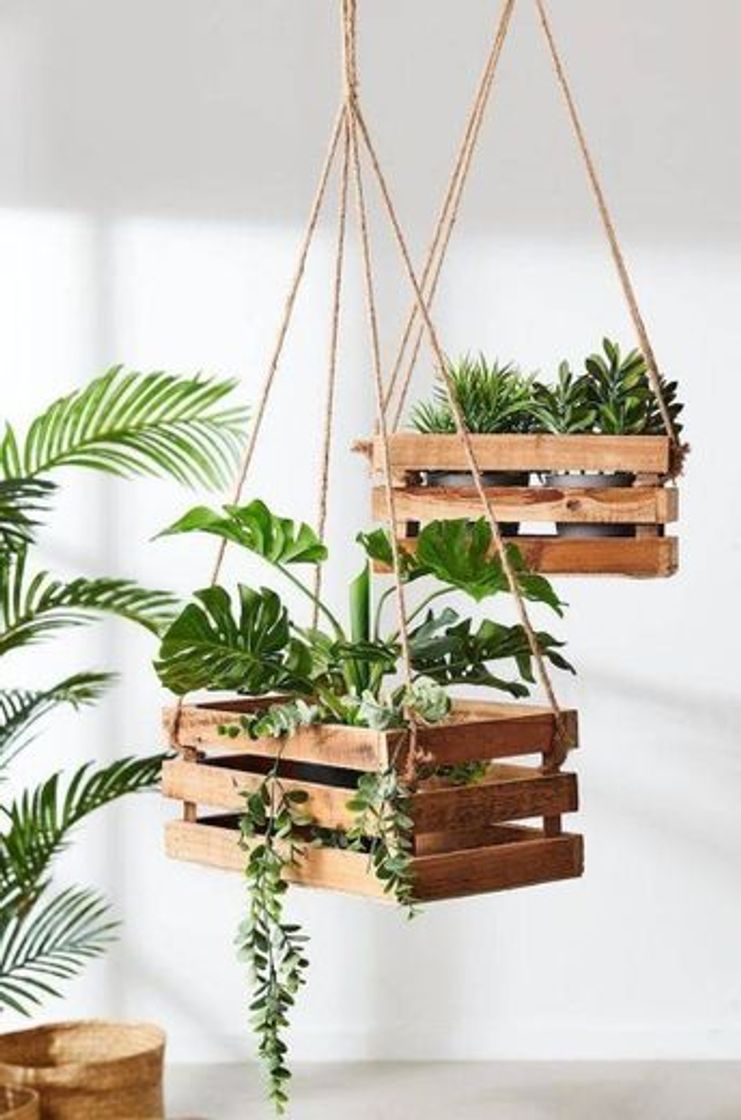 Fashion Decoração com plantas