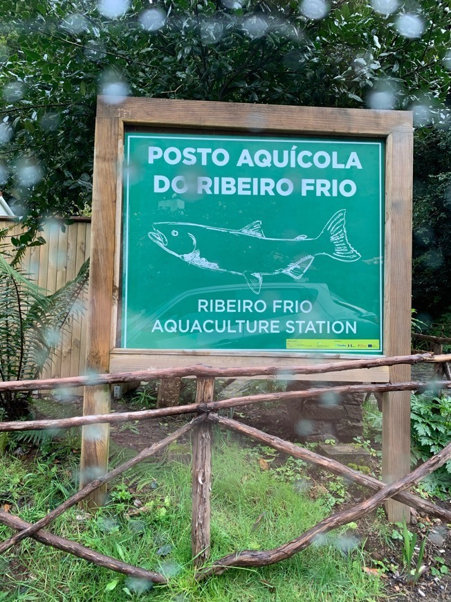 Place POSTO AQUÍCOLA DO RIBEIRO FRIO