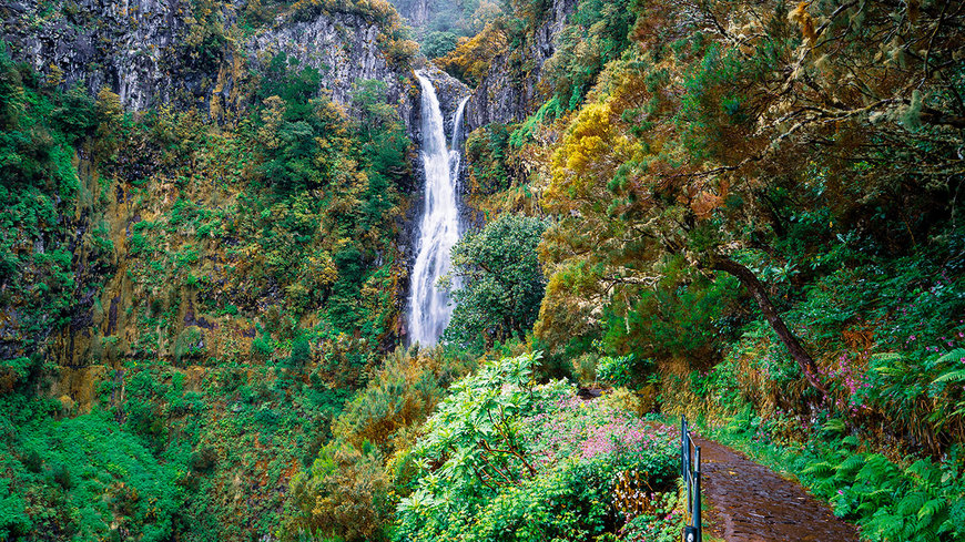 Lugar Vereda das 25 fontes 