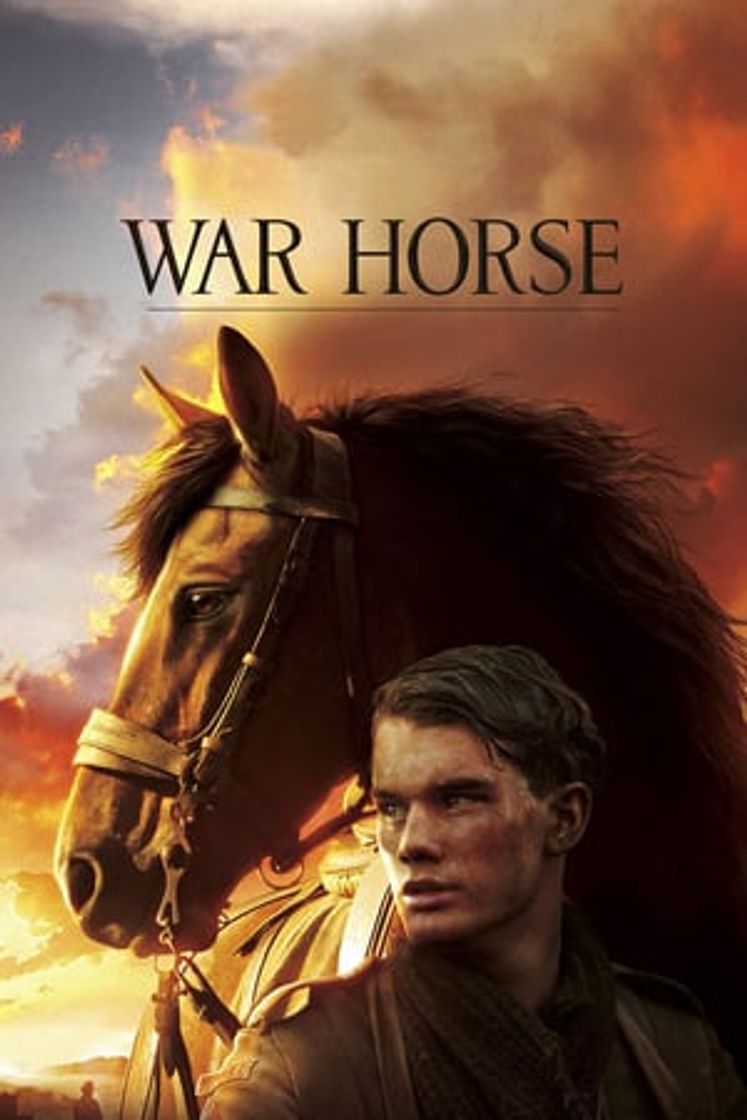 Movie War Horse (Caballo de batalla)