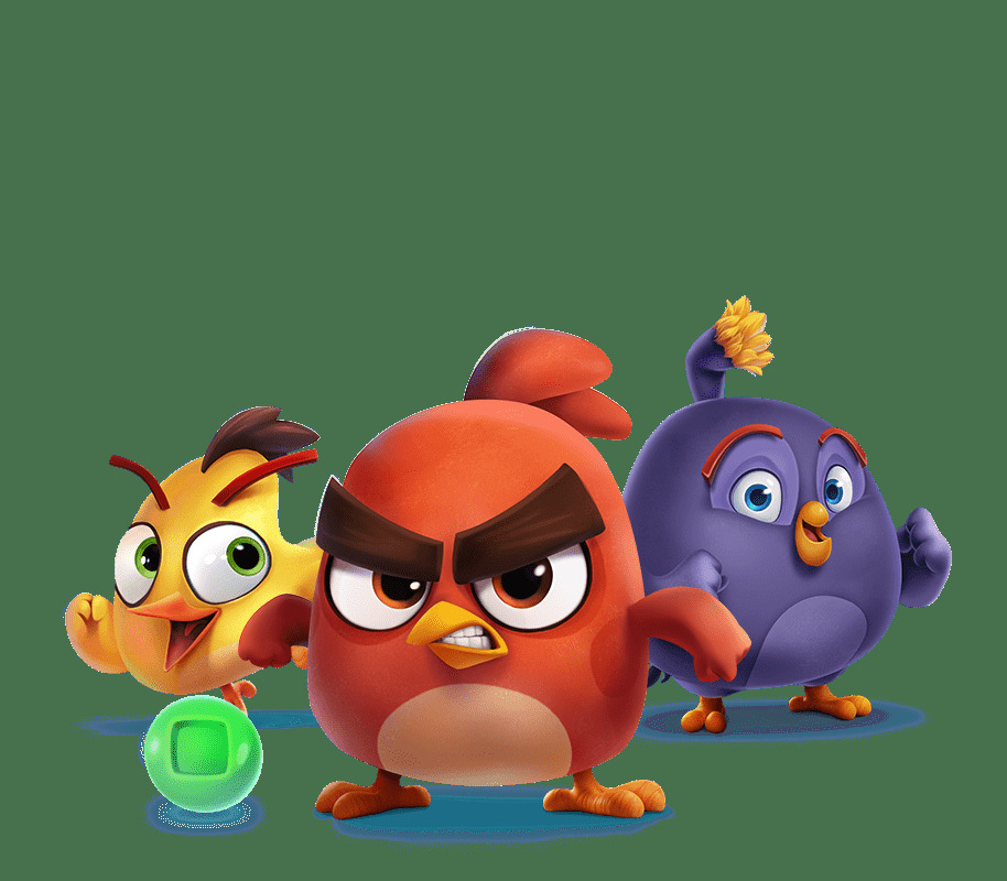 Angry  bird