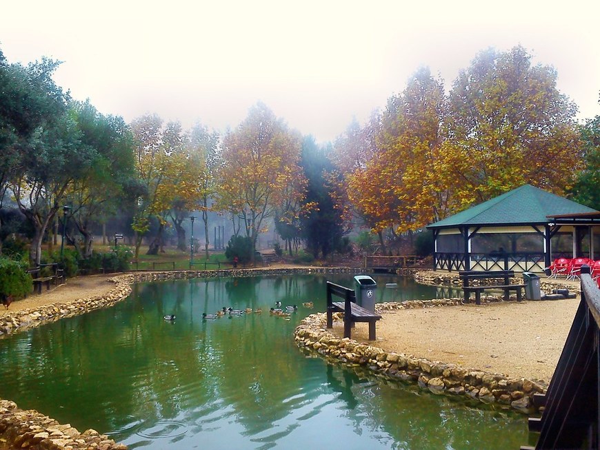 Place Parque da Juventude