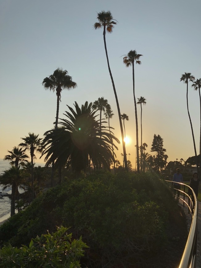 Place Heisler Park