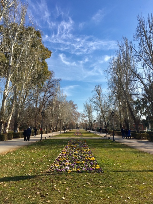 Lugar Parque El Retiro