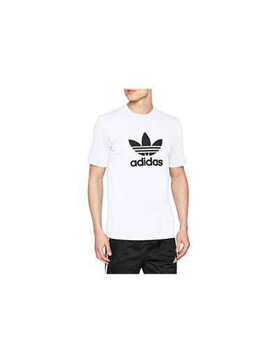 adidas Trefoil T-Shirt T-Shirt