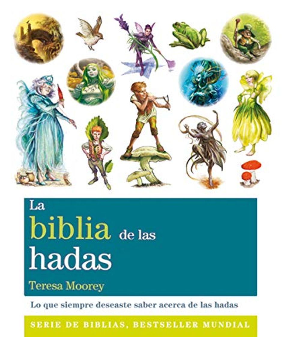 Book La Biblia De Las Hadas: Todo lo que siempre habías querido saber