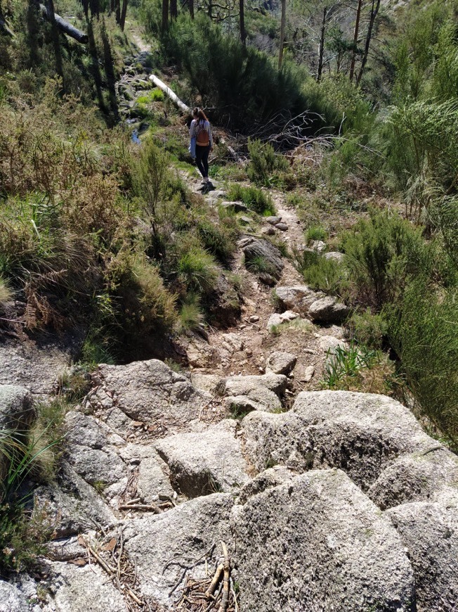 Place Peneda-Gerês National Park