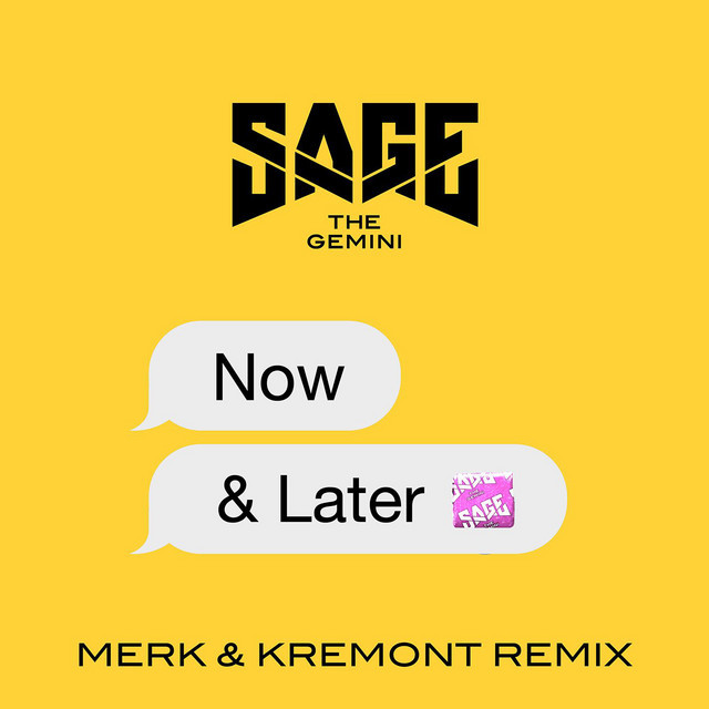 Canción Now and Later - Merk & Kremont Remix