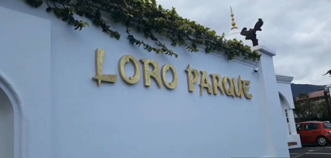 Moda Loro parque