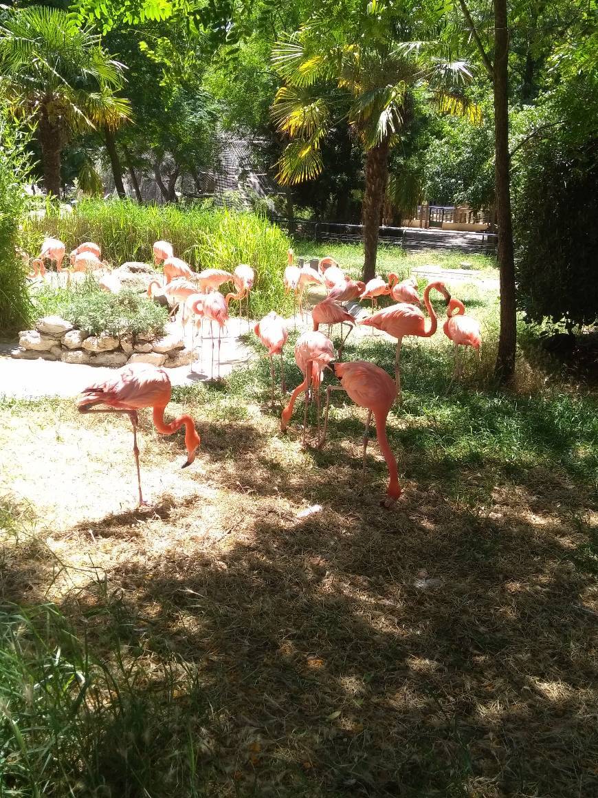 Place Jardim Zoológico de Lisboa