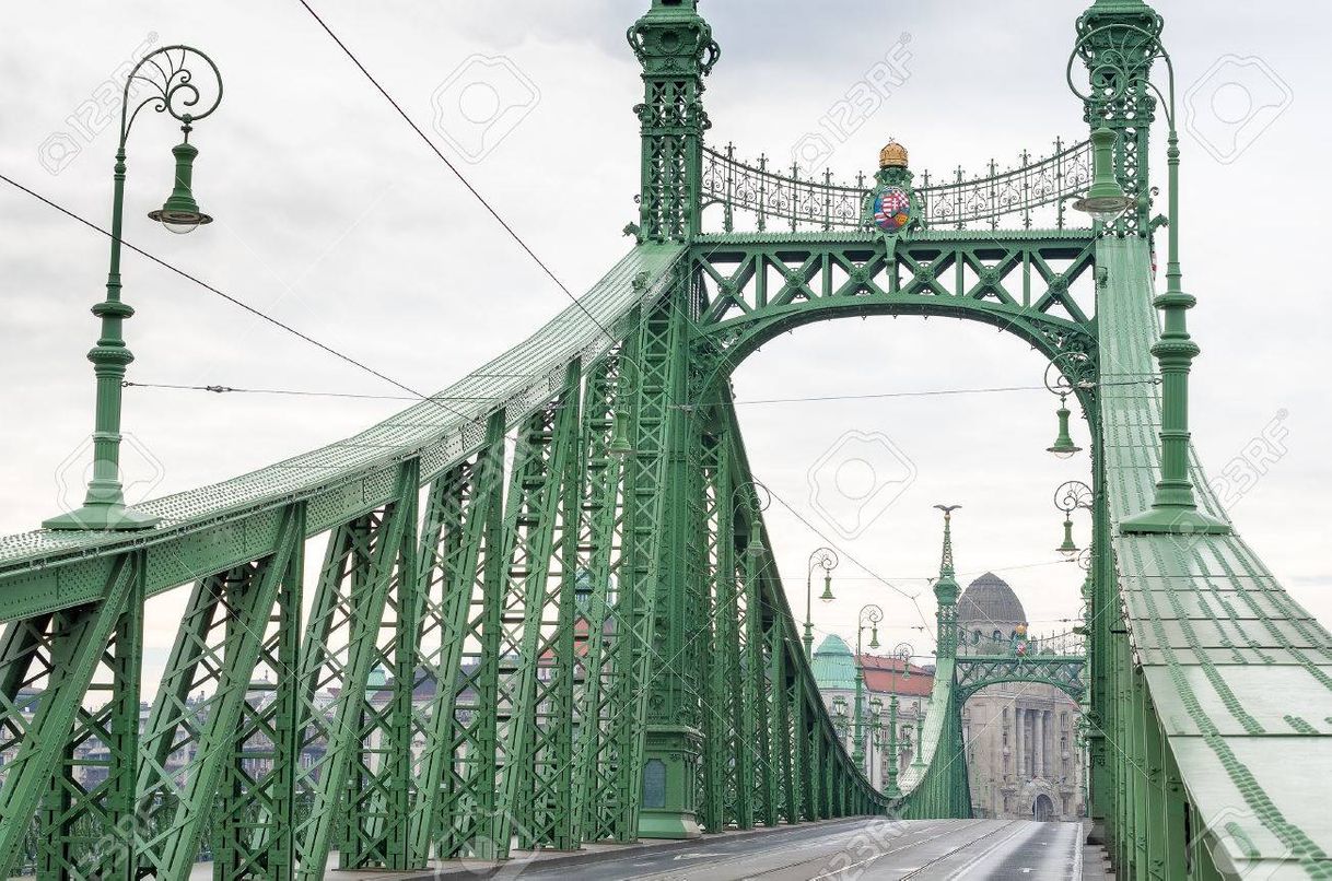 Lugar Puente de la Libertad