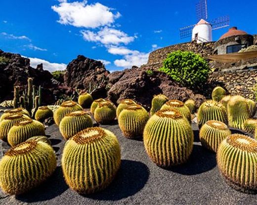 Jardín de Cactus de Lanzarote