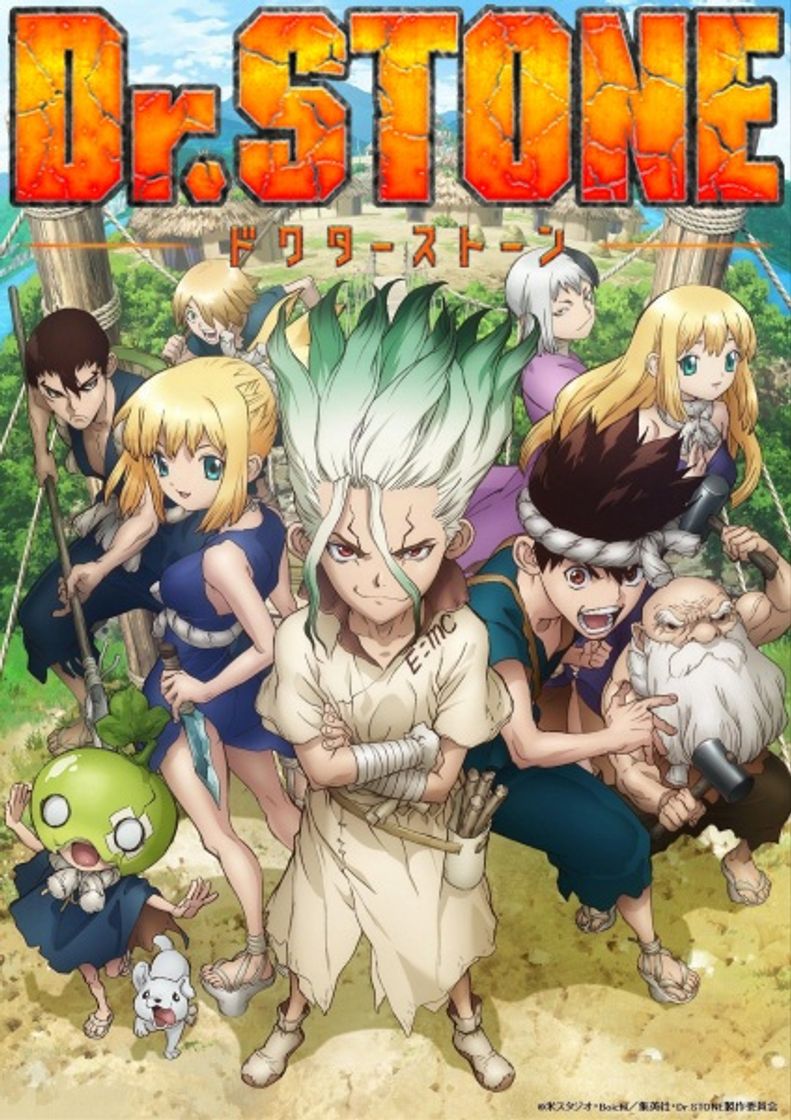 Fashion Dr. Stone