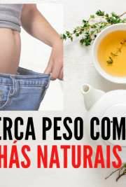 Moda E-Book Gratis Perca peso com chás naturais

