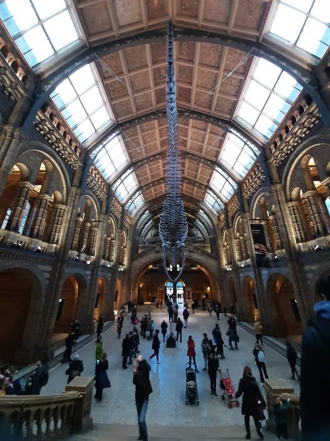 Lugar Natural History Museum