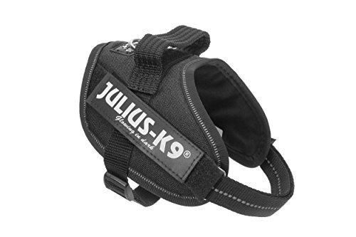 Producto Julius-K9 16IDC