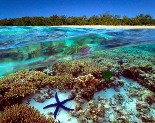 A Grande Barreira de Corais, Austrália