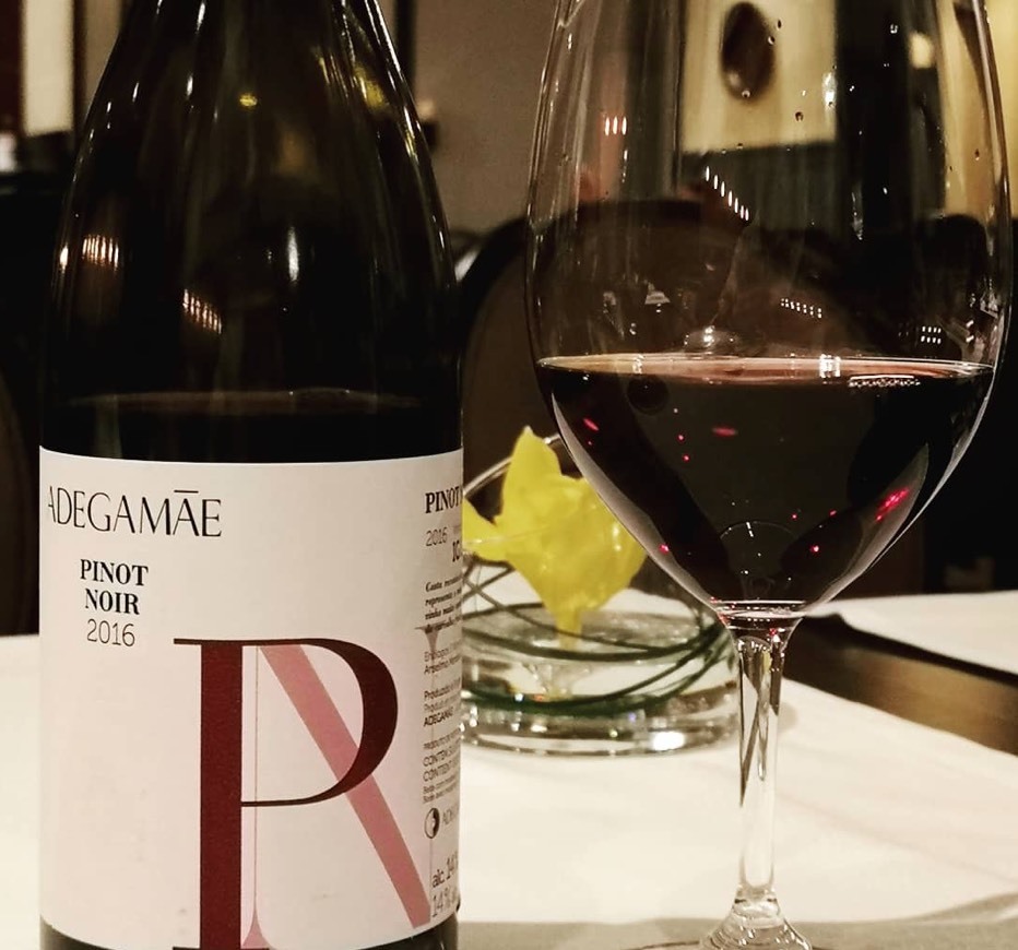 Productos Adega Mãe Pinot Noir 2016