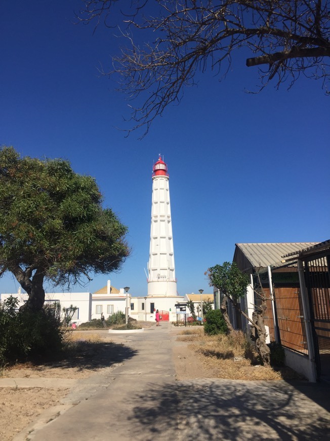 Lugar Praia da Ilha do Farol (Mar)