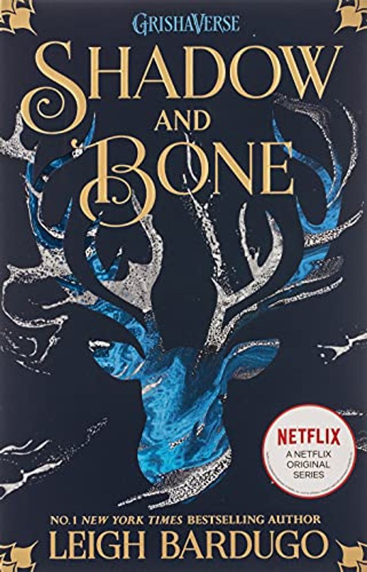 Book Shadow And Bone 1: Soon to be a major Netflix show