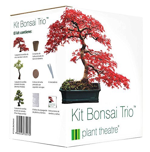 Product Plant Theatre Kit Bonsai Trio