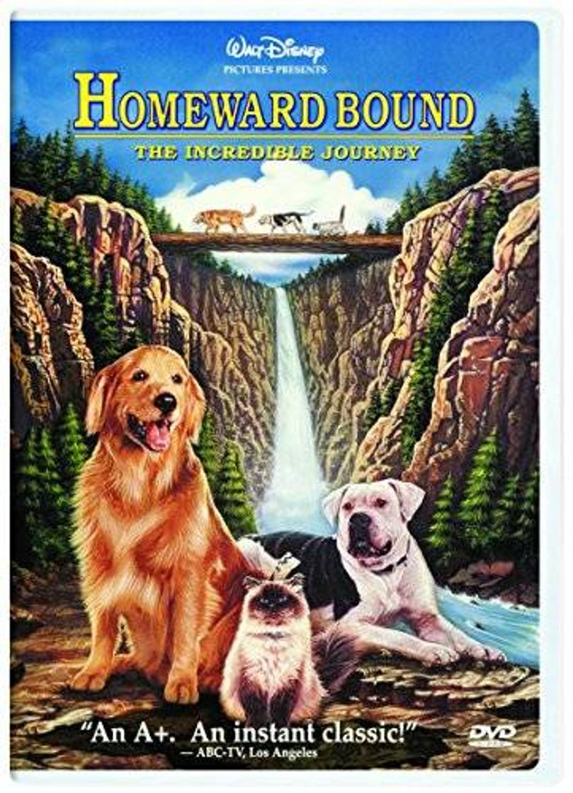 Movie A Incrível Jornada - homeward bound