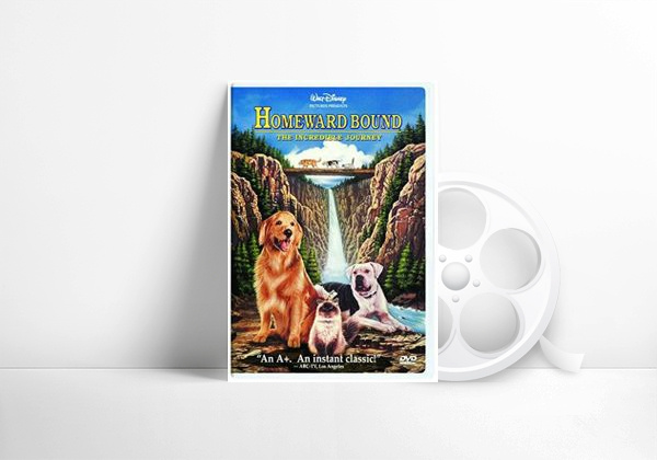 Movie A Incrível Jornada - homeward bound
