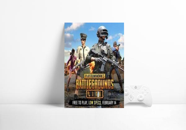 Jogo de vídeo PUBG Lite